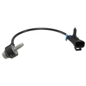 ID0113 AUTO PLUS/NGK Spark Plugs Ignition Knock Detonation