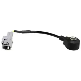 ID0224 AUTO PLUS/NGK Spark Plugs Ignition Knock Detonation