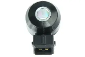 NI1317946 AUTOTECNICA Ignition Knock Detonation Sensor