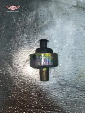 S8004 BORGWARNER Knock Sensor #2