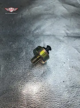 S8004 BORGWARNER Knock Sensor