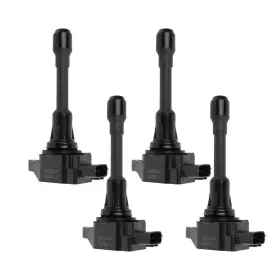 1118CS0754 CPSCLUB Ignition Coils Equator Nissan Suzuki
