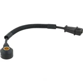 AS10221 DELPHI Ignition