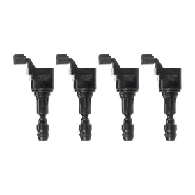 GN10485 DELPHI Set Ignition Coil Buick Chevrolet Gmc