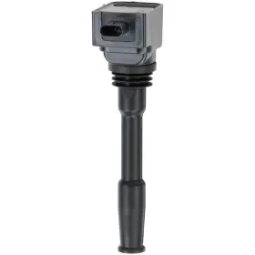 GN11145 DELPHI Ignition Coil Select Ford Lincoln
