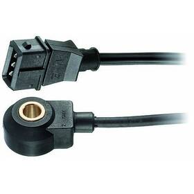 9.3069 FACET Ignition
