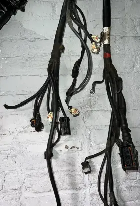 177781 FERRARI Engine Ignition Harness Rh Passenger Modena #2
