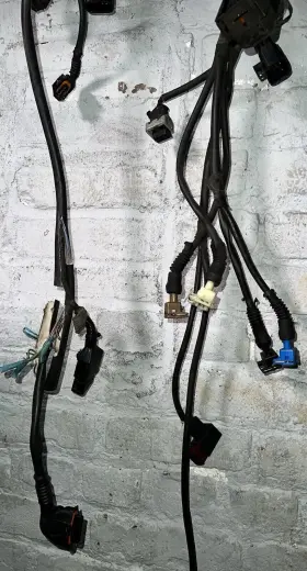 177781 FERRARI Engine Ignition Harness Rh Passenger Modena