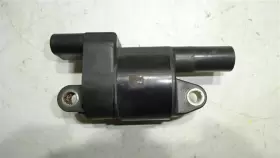12573190 GM Coil Round Envoy #3