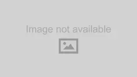 558-321 HOLLEY Coil Harness Ignition