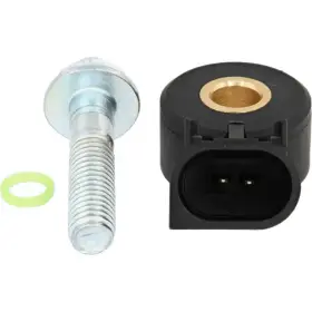 2KNC0114 HOLSTEIN Ignition Knock Detonation Sensor