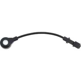 2KNC0122 HOLSTEIN Ignition Knock Detonation Sensor