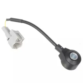 2KNC0135 HOLSTEIN Ignition Knock Detonation Sensor