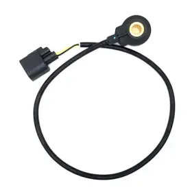 2KNC0213 HOLSTEIN Ignition Knock Detonation Sensor