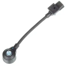 2KNC0221 HOLSTEIN Ignition Knock Detonation Sensor
