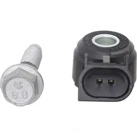 2KNC0350 HOLSTEIN Ignition Knock Detonation Sensor