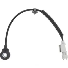 2KNC0353 HOLSTEIN Ignition Knock Detonation Sensor