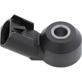 2KNC0414 HOLSTEIN Emission Control Ignition Knock Detonation #2