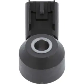 2KNC0414 HOLSTEIN Emission Control Ignition Knock Detonation #3