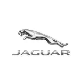 NCA2578BB JAGUAR Tube Gasket