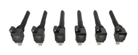 827063 MSD Ignition Coil Ecoboost Ford