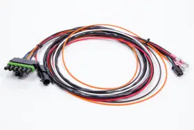 ASY17296 MSD PERFORMANCE Ignition Wiring Harness