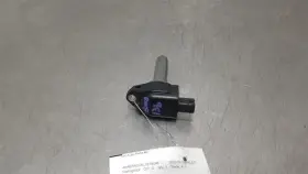 Outbakleg SUBARU Ignition Coil Outback