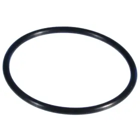 EKN187 TRANSBEC Water Pump Gasket Csw XL-7 Chevrolet Suzuki