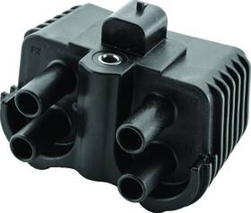 216147 TWINPOWER Twp Ignition Coils
