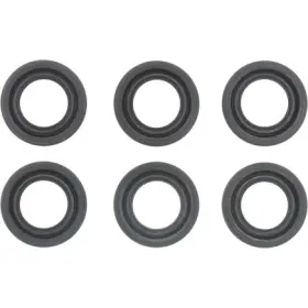 18-10036-01 VICTOR REINZ Gaskets Spark Plug Tube Seal Set