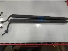 699.VW1319 VOLKSWAGEN Atlas Power Trunk Lid Struts Vw