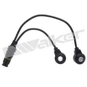 242-1184 WALKER PRODUCTS Ignition Knock Detonation