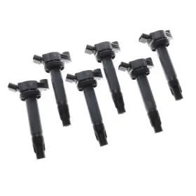 928-4092-6 WALKER PRODUCTS Ignition Coil Set