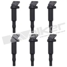 928-4098-6 WALKER PRODUCTS Ignition Coil Set