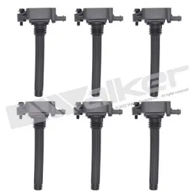 928-4112-6 WALKER PRODUCTS Ignition Coil Set