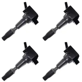 928-4118-4 WALKER PRODUCTS Ignition Coil Set