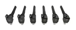 Msd 827063 Ignition Coils, Black, 6-pack. Fixed Price $449.95.