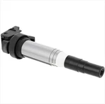 Holstein 2igc0102 Ignition Coil Pack Oem Direct Replacement New. Fixed Price $49.99.