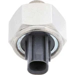 Ignition Knock (detonation) Sensor-sensor Holstein 2knc0253. Fixed Price $146.99.