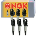 6 Pcs Ngk Ignition Coil For 2003-2007 Bmw 525i 3.0l 2.5l L6 - Spark Plug Sq. Fixed Price $237.48.