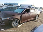 Ignition Switch Oem 16-18 Kia Optimakia 1yr Wrnty 81900d5b00. Fixed Price $100.00.