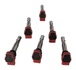 2005-2017 Audi A4 S4 A5 S5 A6 S6 A7 A8 Q5 Sq5 Q7 R8 S8 Ignition Coil Set 6. Fixed Price $49.99.