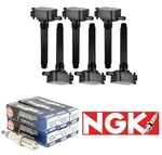 6 Oem Ignition Coil Ngk Plug Set For 5149168aj Dodge Charger Challenger 3.6l V6. Fixed Price $136.73.