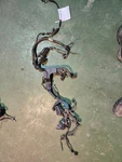 2001 Lb7 Duramax Engine Harness 97216208 8972162087. Fixed Price $450.00.