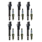 Bosch 6 Ignition Coils &6 Double Platinum Spark Plugs Kit For Audi Porsche Vw V6. Fixed Price $310.95.