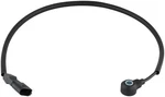 Delphi Ignition Knock (detonation) Sensor For Beetle, Golf, Jetta+more As10311. Fixed Price $59.12.