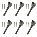 Set Of 6 Beru Direct Ignition Coils For Porsche 911 Cayman Boxster. Fixed Price $201.95.