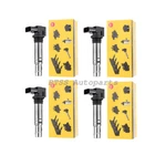036905715g 4 Pcs Oem Ngk Ignition Coil For Vw Beetle Tiguan Golf Jetta Polo 1.4l. Fixed Price $153.80.