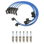Ngk Ignition Kit For Ford. Fixed Price $93.95.
