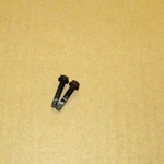 1992-1996 Corvette Ignition Module Mounting Screws, (2), Gm 10474609. Fixed Price $6.99.